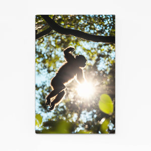 Sun Monkey Art