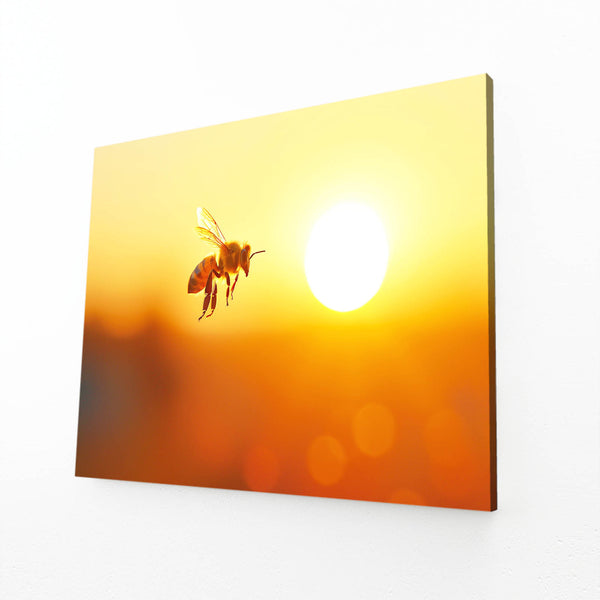 Sunlit Flight Bee Art | MusaArtGallery™