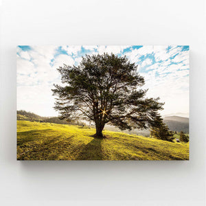 Sunlit Glory Tree Art | MusaArtGallery™