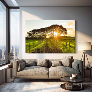 Sunlit Path Tree Art | MusaArtGallery™