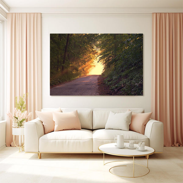 Sunlit Path Tree Art | MusaArtGallery™