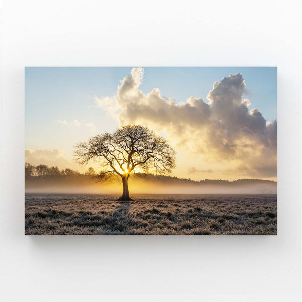 Sunrise Glow Tree Art | MusaArtGallery™