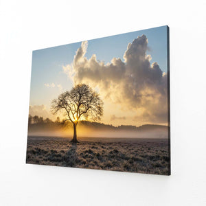 Sunrise Glow Tree Art | MusaArtGallery™