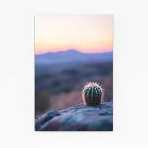 Sunset Cactus Art