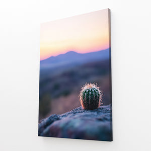 Sunset Cactus Art
