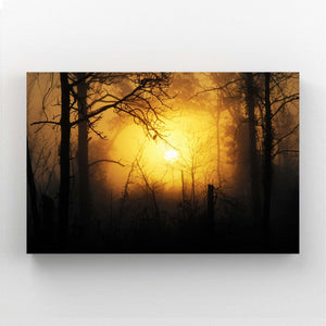 Sunset Glow Tree Art | MusaArtGallery™