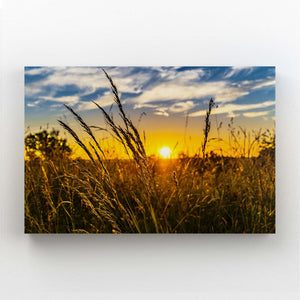  Sunset Graphic Art   | MusaArtGallery™