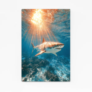 Sunset Shark Art