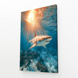 Sunset Shark Art