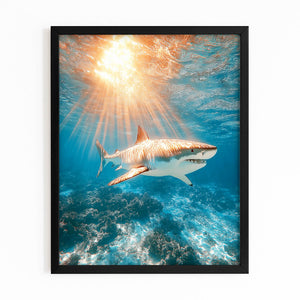 Sunset Shark Art