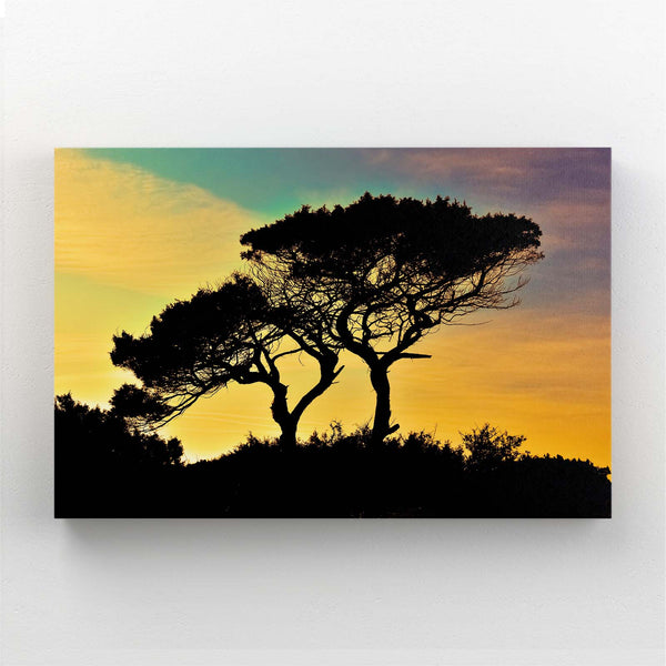 Sunset Silhouette Tree Art | MusaArtGallery™