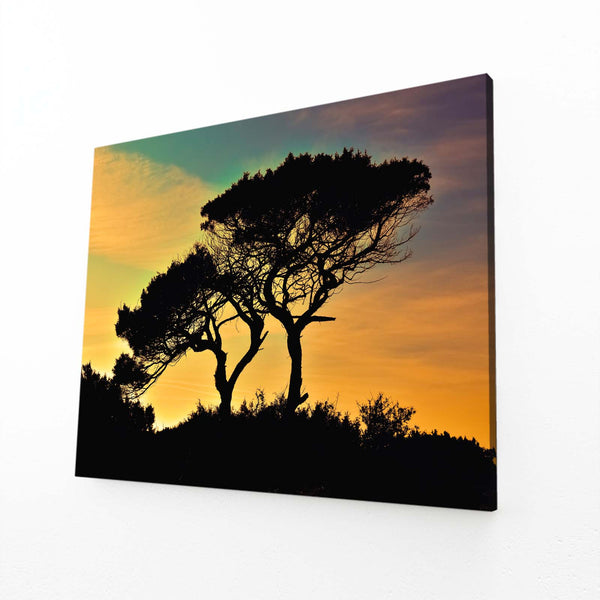 Sunset Silhouette Tree Art | MusaArtGallery™