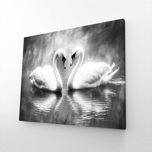 Swan Reflection Art Black and White | MusaArtGallery™