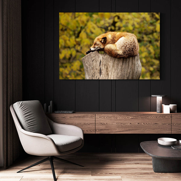 Sweet Fox Art | MusaArtGallery™