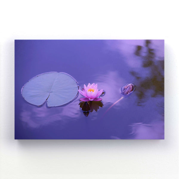 Lotus Nature Pictures Wall Art | MusaArtGallery™
