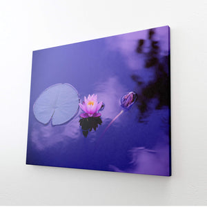 Lotus Nature Pictures Wall Art | MusaArtGallery™