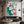 Teal Cherry Blossom Flower Wall Art