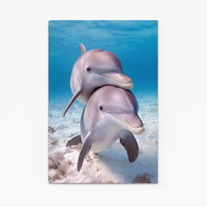Teal Dolphin Art