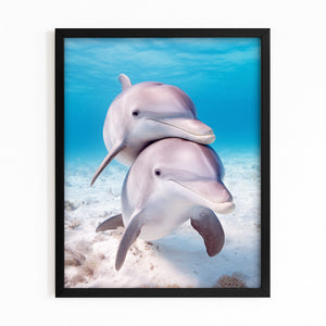 Teal Dolphin Art