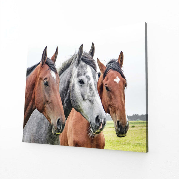 Three Horse Art