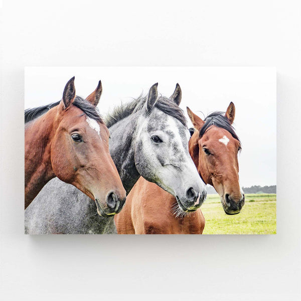 Three Horse Art