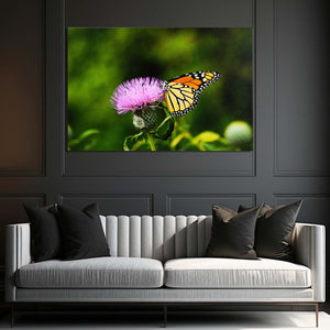 Tiger Butterfly Wall Art | MusaArtGallery™