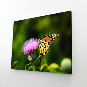 Tiger Butterfly Wall Art | MusaArtGallery™