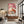 Tiger Cherry Blossom Tree Wall Art