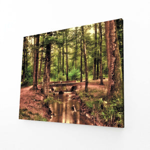 Tranquil Stream Tree Art | MusaArtGallery™