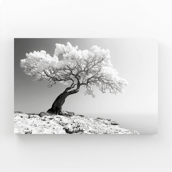 Tree Art Frosted Majesty | MusaArtGallery™