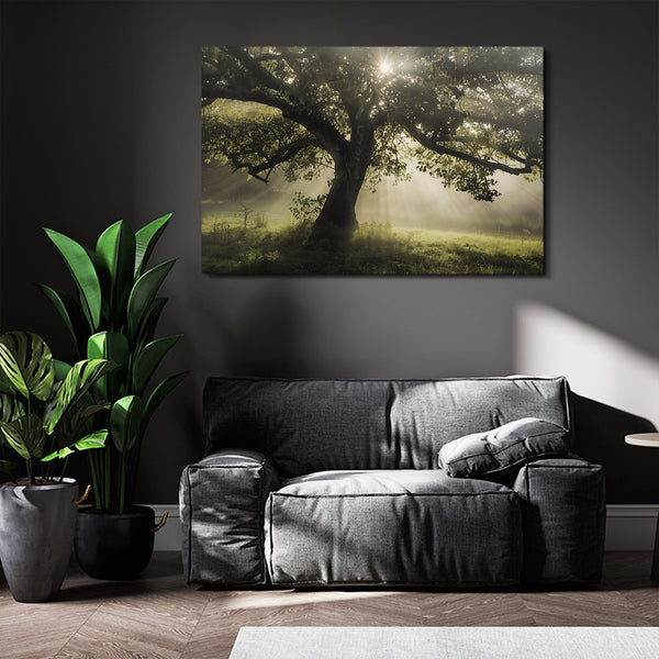 Tree Art Morning Light | MusaArtGallery™