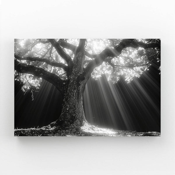 Tree Art Radiant Majesty | MusaArtGallery™