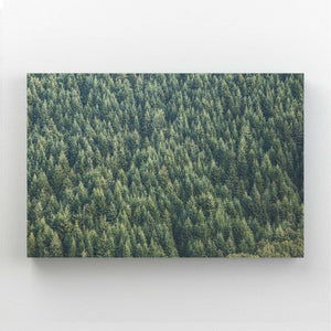 Tree Art Verdant Canopy | MusaArtGallery™