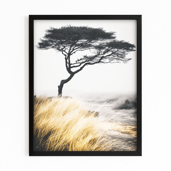Tree Photography Print