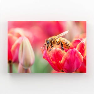 Tulip Harmony Bee Art | MusaArtGallery™