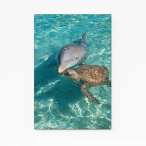 Turtle Dolphin Art