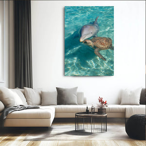 Turtle Dolphin Art