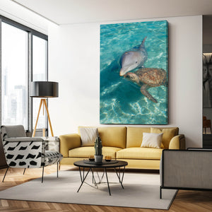 Turtle Dolphin Art