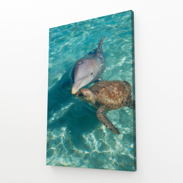 Turtle Dolphin Art