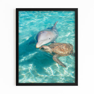 Turtle Dolphin Art