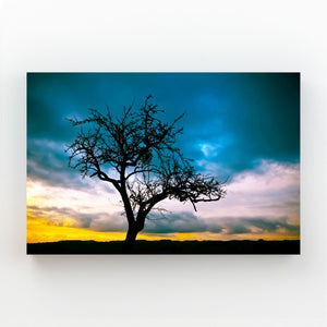 Twilight Silhouette Tree Art | MusaArtGallery™