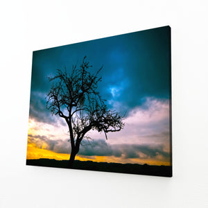 Twilight Silhouette Tree Art | MusaArtGallery™