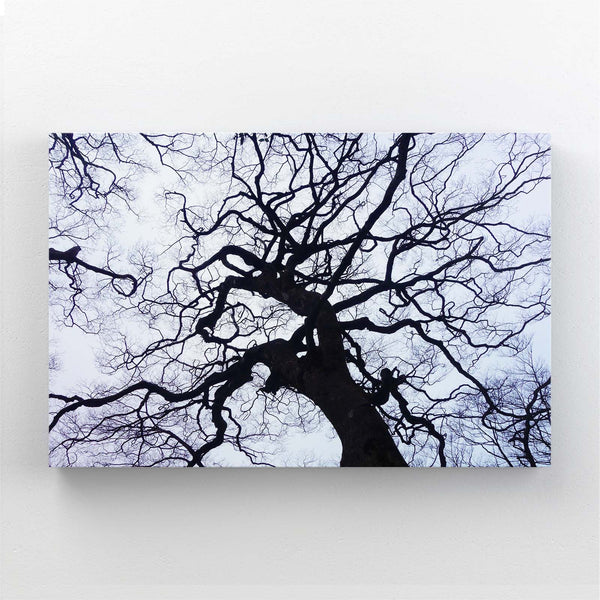 Twisted Branches Tree Art | MusaArtGallery™