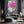 Urban Cherry Blossom Tree Wall Art