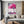 Urban Pink Cherry Blossom Tree Wall Art