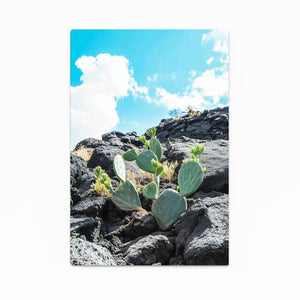 Vertical Cactus Art