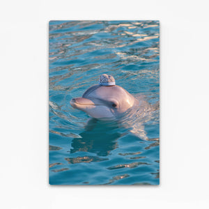Vertical Dolphin Artwork