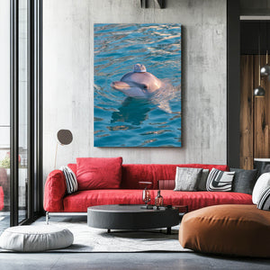 Vertical Dolphin Artwork