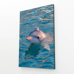Vertical Dolphin Artwork
