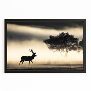 Vintage Black And White Photography Prints